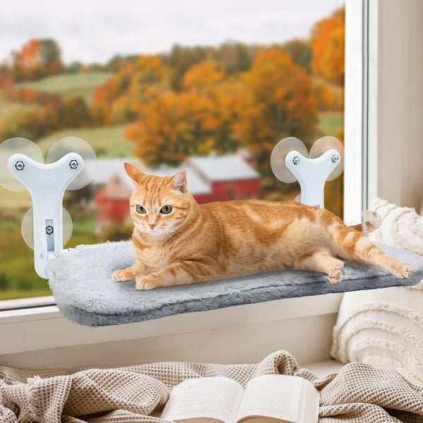 Hiwhy Cat Window Perch with 6 Strong Suction Cups Cat Hammock Size is 11.8"x23.6" Indoor Foldable Window Cat Bed with Soft Cushion for Cats 2 Pack
